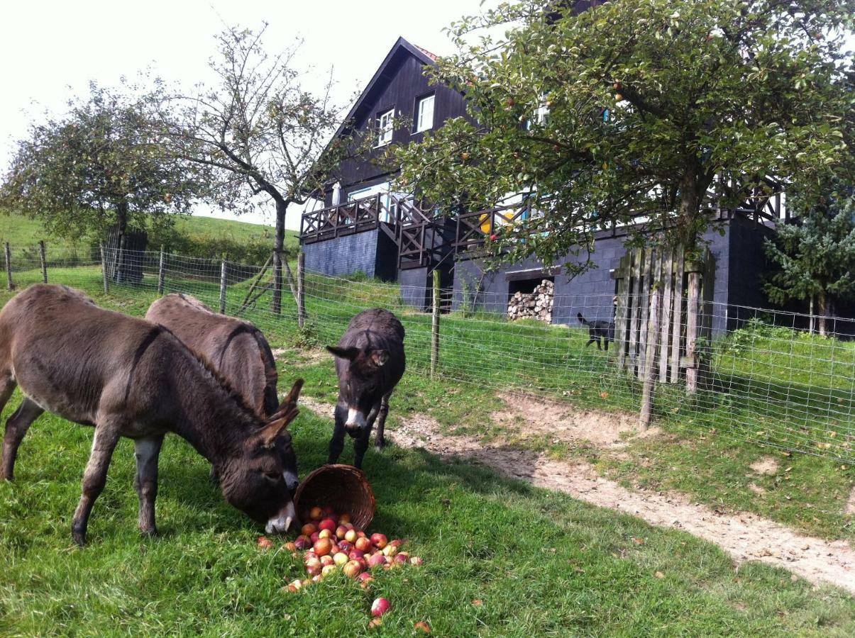 Hoeve Schoonzicht Wijlre Экстерьер фото